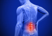 exercises for lower back pain